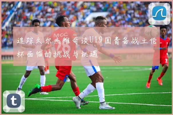 追踪久尔杰维奇谈U19国青备战土伦杯面临的挑战与机遇
